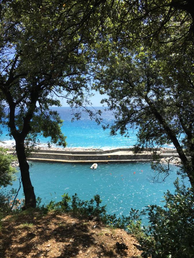 Casetta Del Marinaio Camogli Bagian luar foto