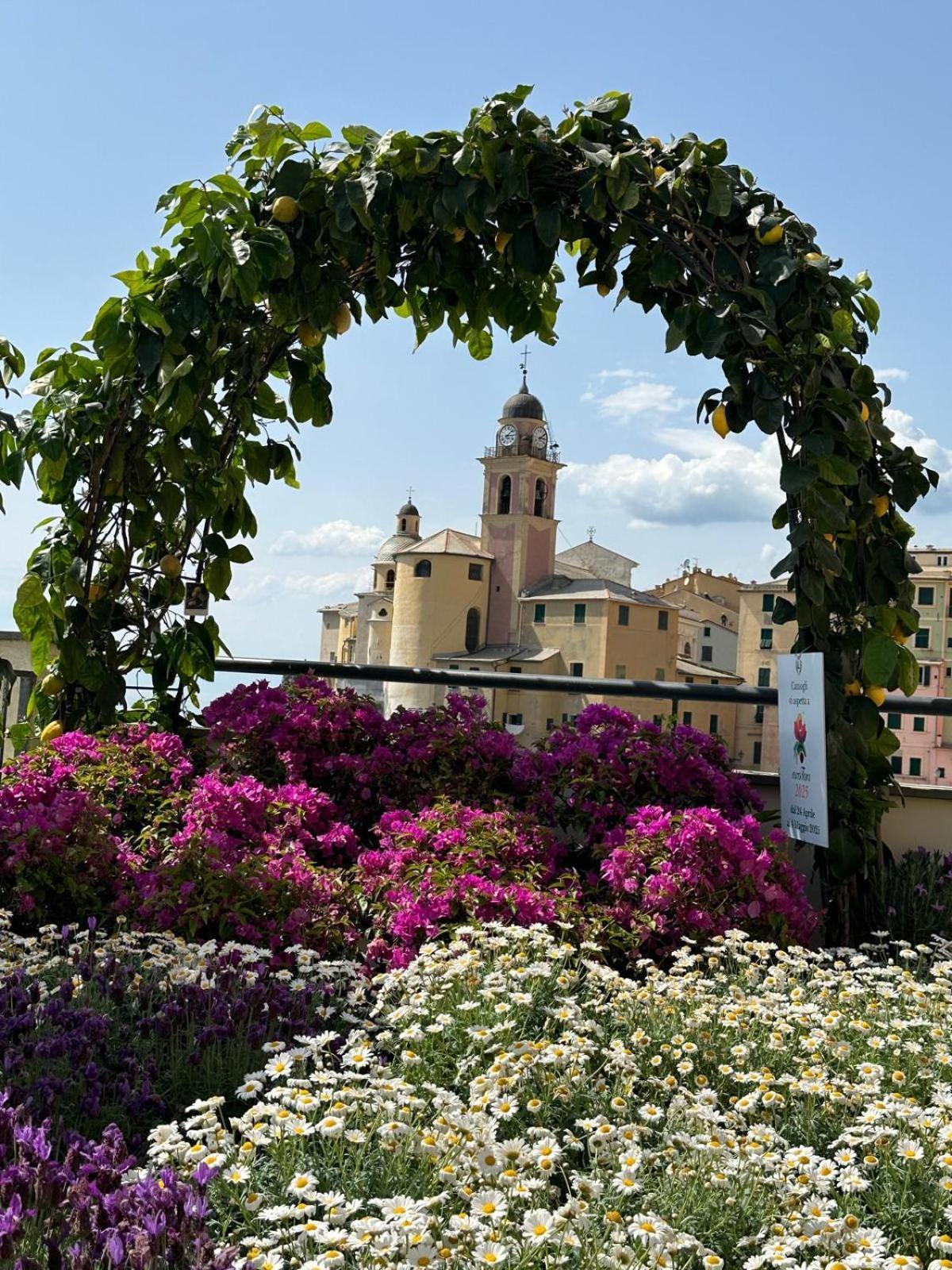 Casetta Del Marinaio Camogli Bagian luar foto