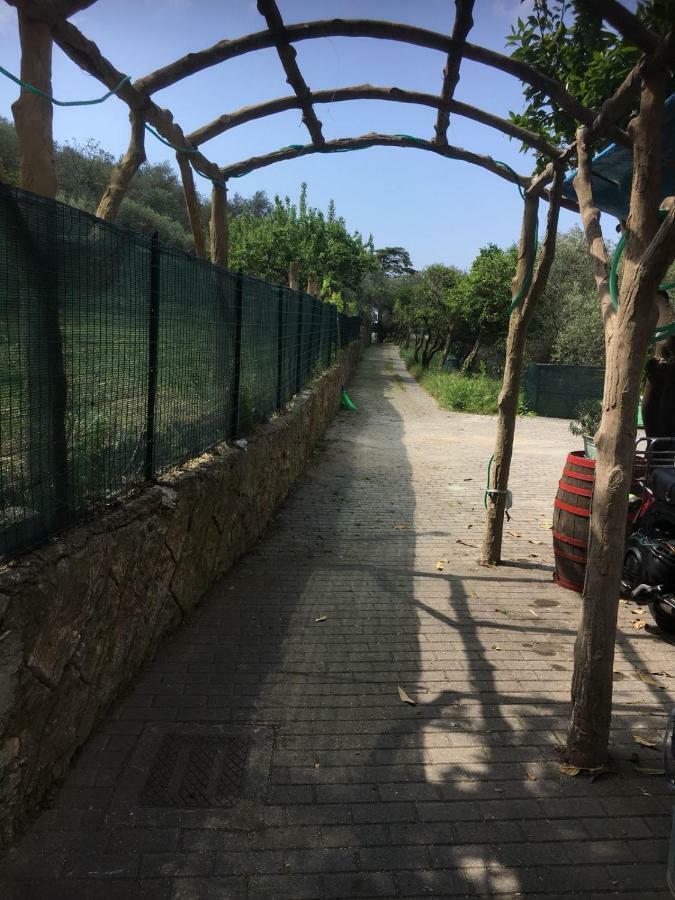 Casetta Del Marinaio Camogli Bagian luar foto